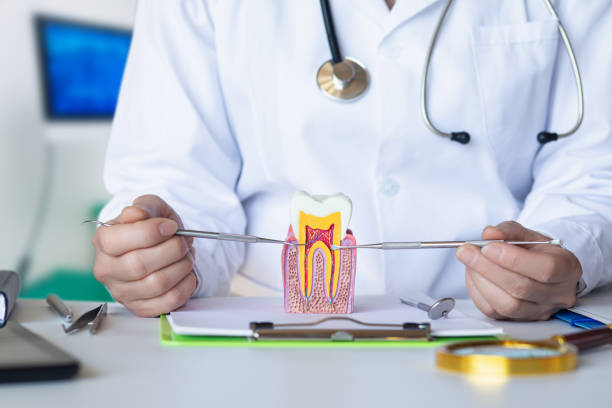 Best 24-Hour Emergency Dental Care in Rogers, TX